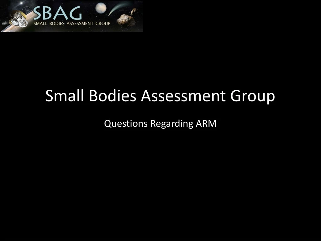 small bodies assessment group