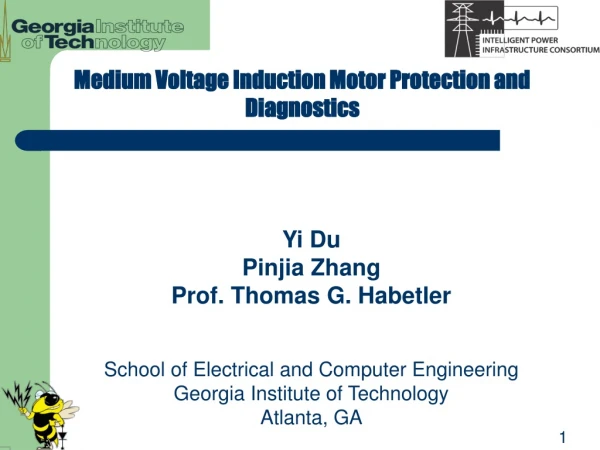 Medium Voltage Induction Motor Protection and Diagnostics