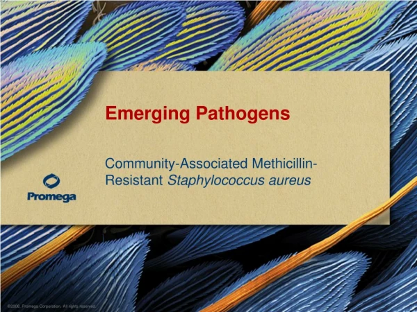 Emerging Pathogens