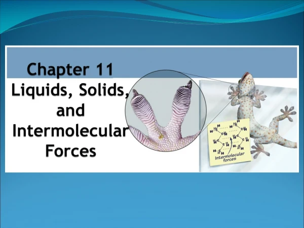 Chapter 11 Liquids, Solids, and Intermolecular Forces