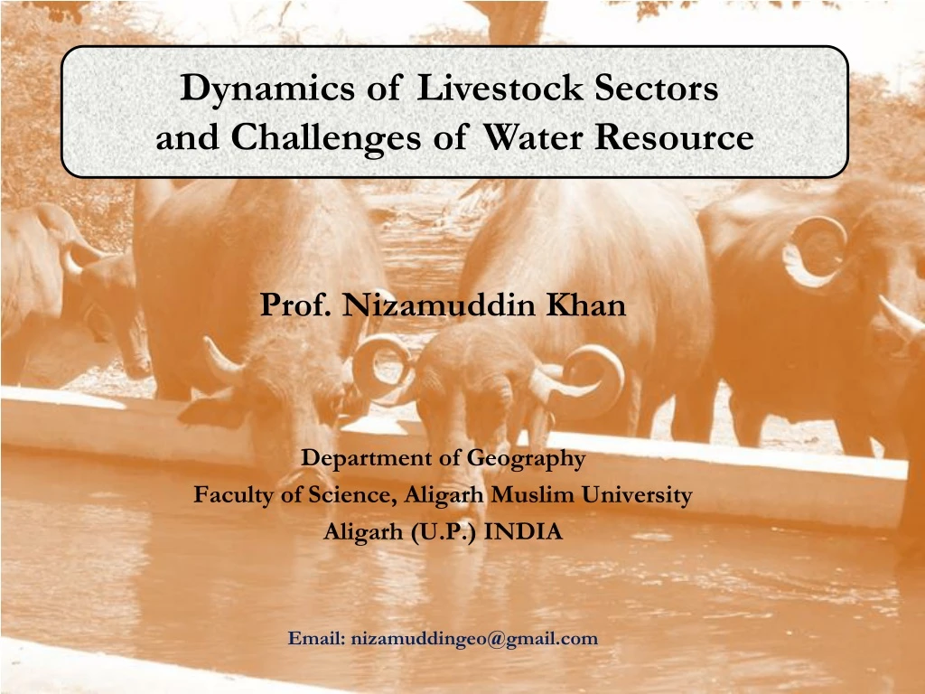 dynamics of livestock sectors and challenges