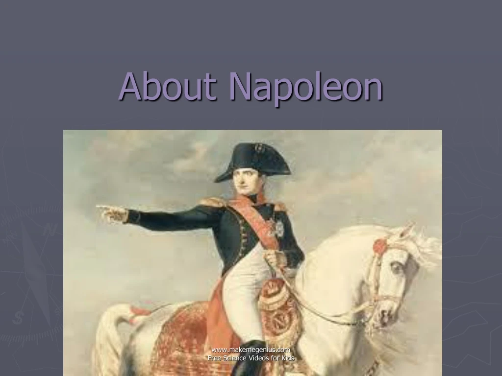 about napoleon