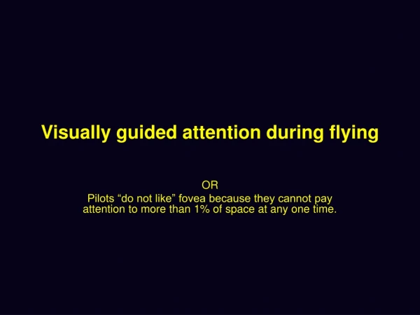 Visually guided attention during flying