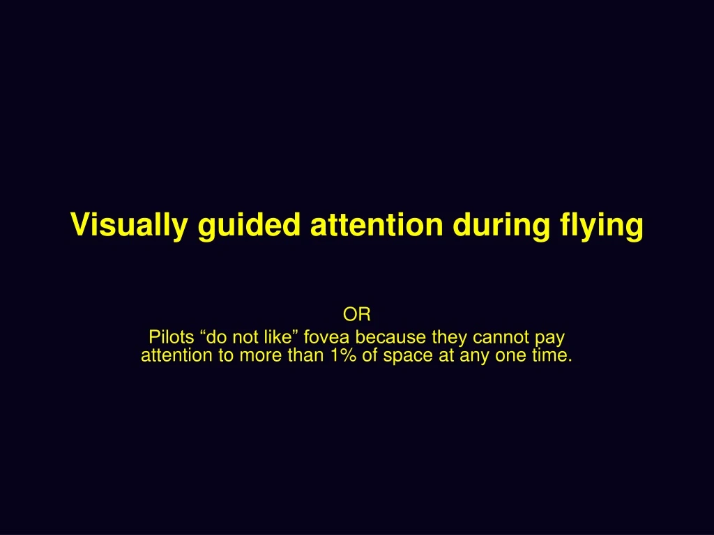 visually guided attention during flying