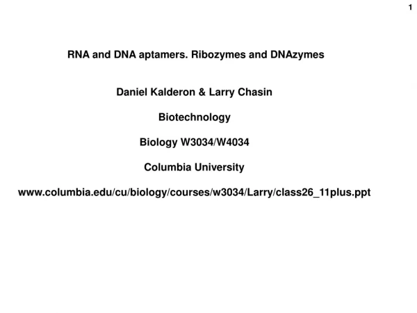 RNA and DNA aptamers. Ribozymes and DNAzymes Daniel Kalderon &amp; Larry Chasin  Biotechnology