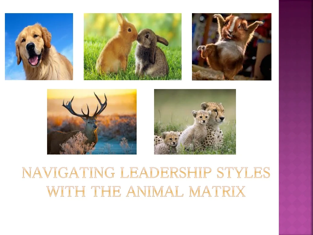 navigating leadership styles with the animal matrix