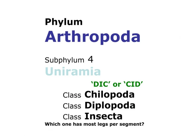 Phylum Arthropoda Subphylum  4 Uniramia ‘DIC’ or ‘CID’ 	Class Chilopoda 	Class Diplopoda