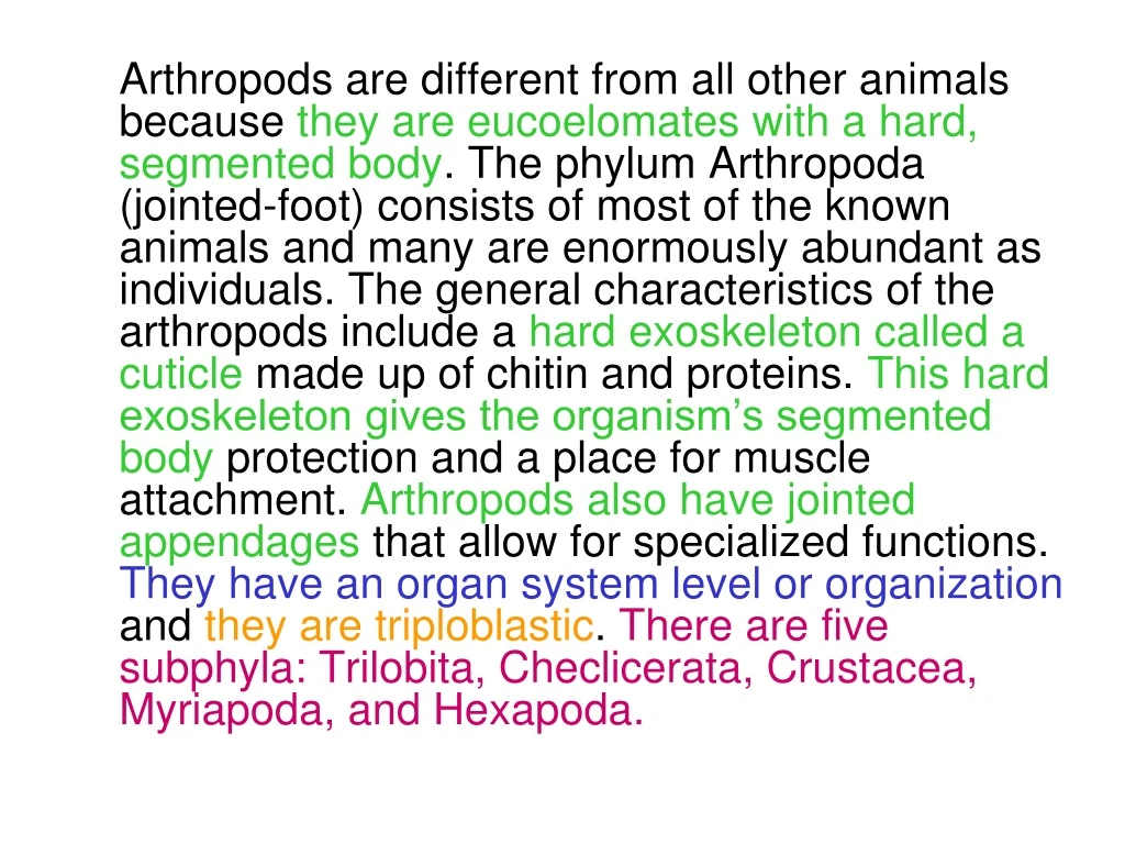 arthropods are different from all other animals