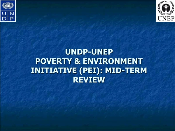 UNDP-UNEP  POVERTY &amp; ENVIRONMENT INITIATIVE (PEI): MID-TERM REVIEW