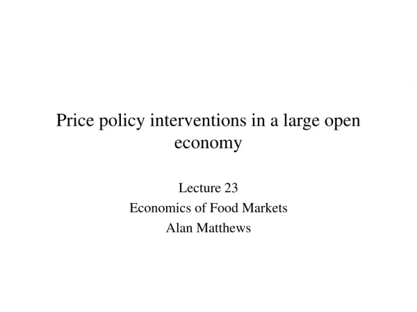 Price policy interventions in a large open economy