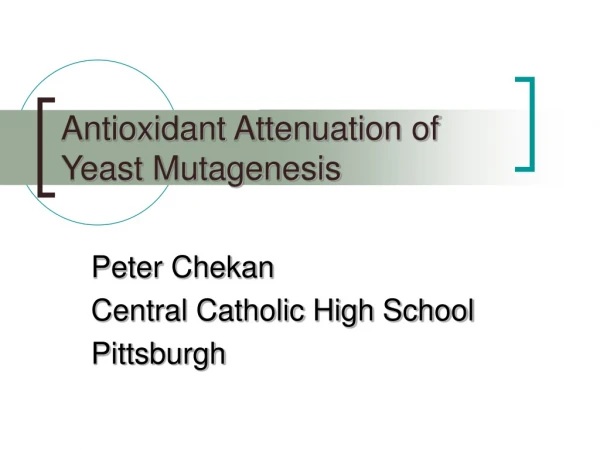 Antioxidant Attenuation of Yeast Mutagenesis