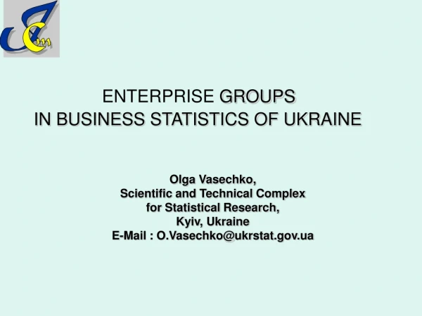 ENTERPRISE  GROUPS  IN BUSINESS STATISTICS OF UKRAINE