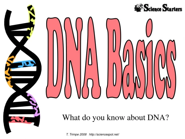 DNA Basics