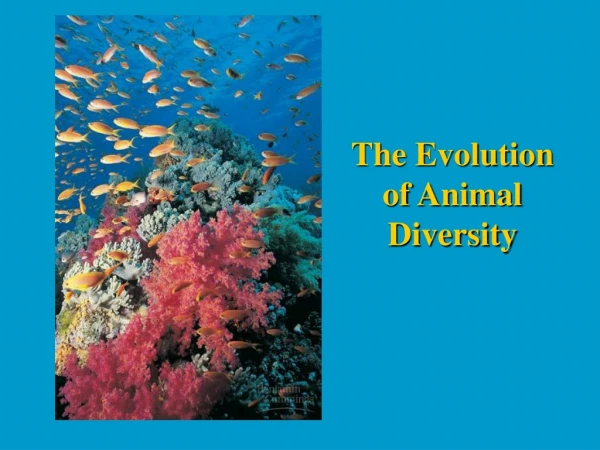 The Evolution of Animal Diversity