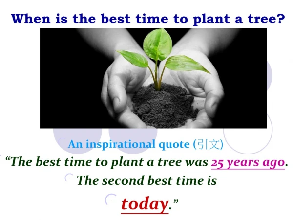 When is the best time to plant a tree?
