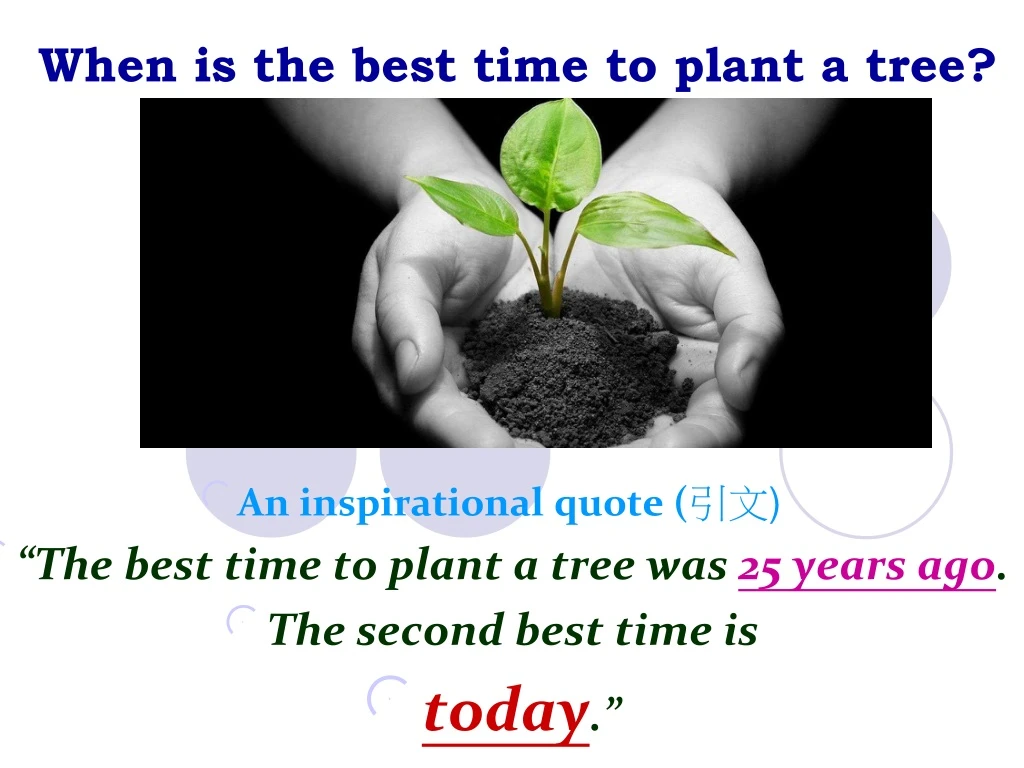 when is the best time to plant a tree