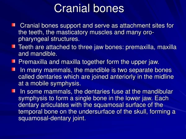 Cranial bones