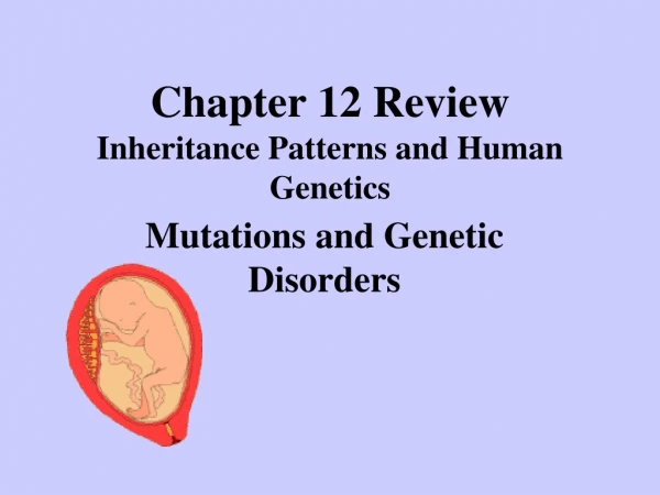 Chapter 12 Review Inheritance Patterns and Human Genetics