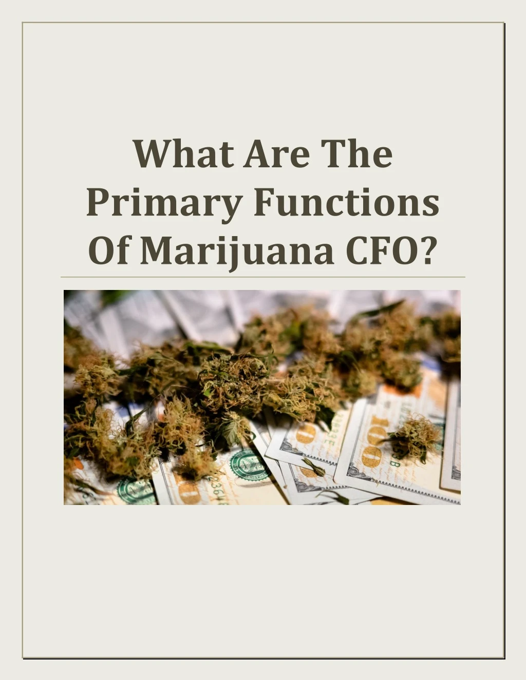 what are the primary functions of marijuana cfo