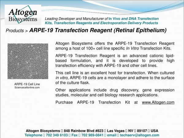 ARPE-19 Cell Line Sciencecellonline