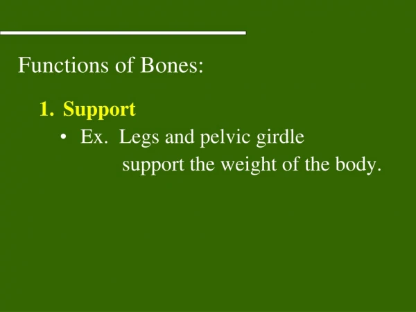 Functions of Bones: Support Ex.  Legs and pelvic girdle
