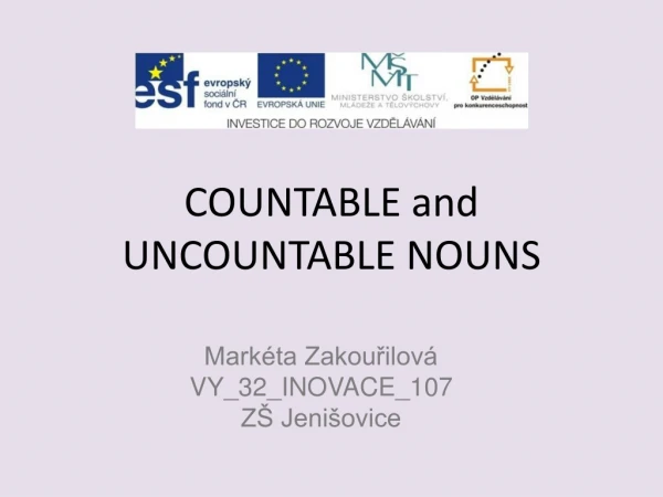 COUNTABLE and UNCOUNTABLE NOUNS