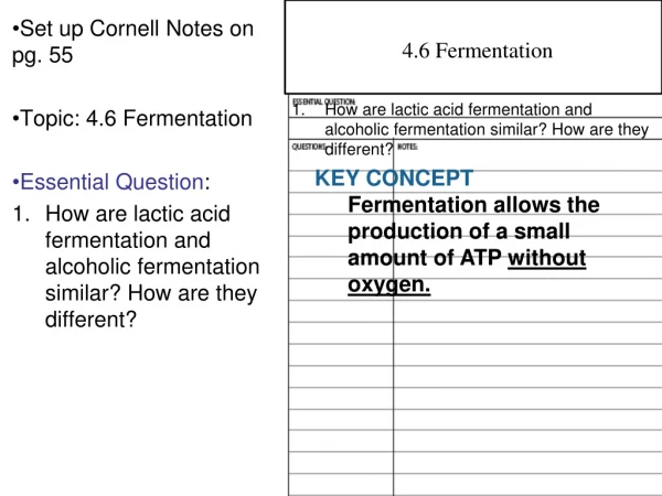 Set up Cornell Notes on pg. 55 Topic: 4.6 Fermentation Essential Question :