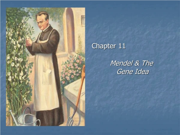 Chapter 11		 Mendel &amp; The 		   Gene Idea