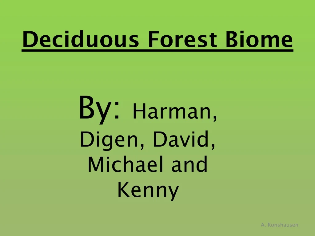 deciduous forest biome