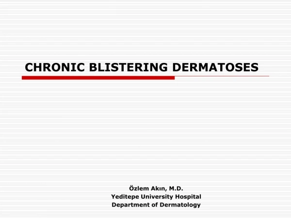 CHRONIC BLISTERING DERMATOSES