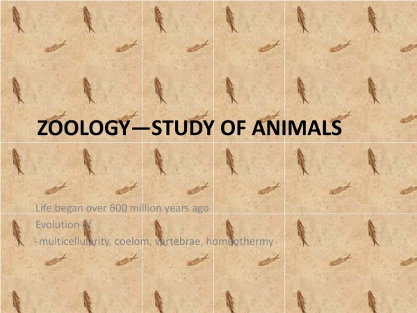 ZOOLOGY—STUDY OF ANIMALS