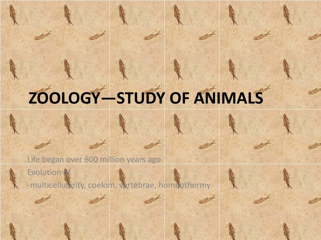 zoology study of animals