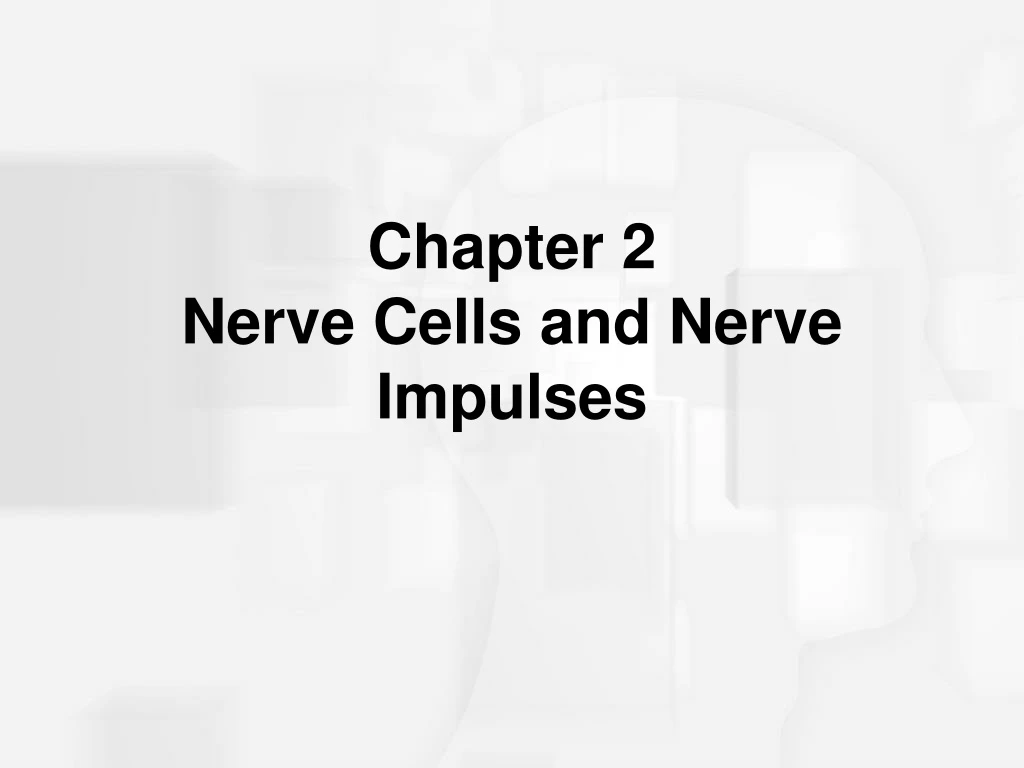 chapter 2 nerve cells and nerve impulses