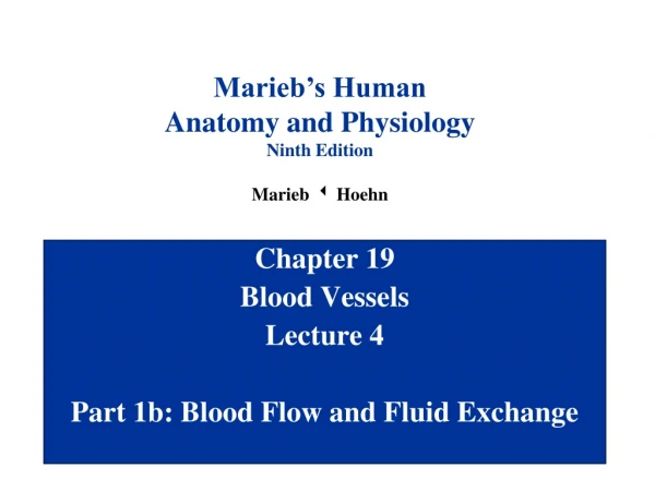 Chapter 19 Blood Vessels Lecture 4 Part 1b: Blood Flow and Fluid Exchange