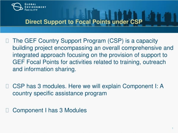 Direct Support to Focal Points under CSP