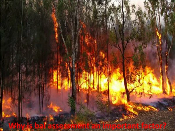 why is bal assessment an important factor