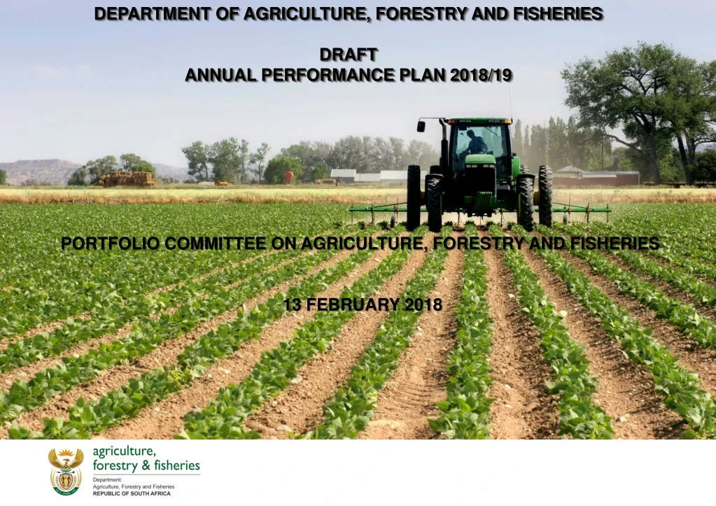department of agriculture forestry and fisheries draft annual performance plan 2018 19