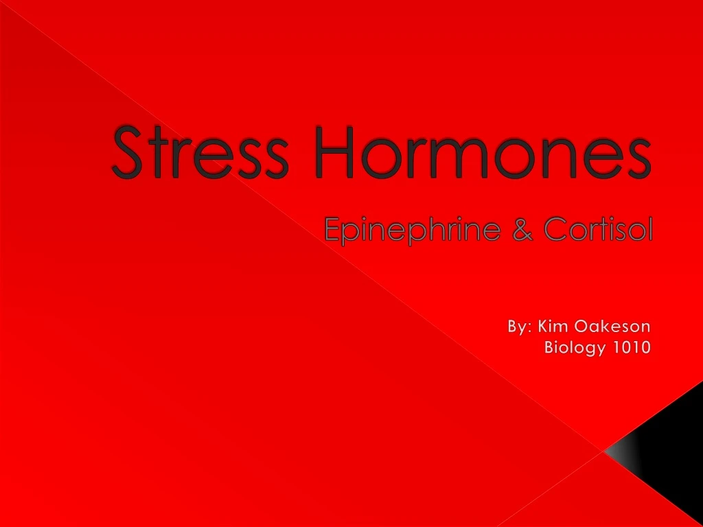 stress hormones epinephrine cortisol