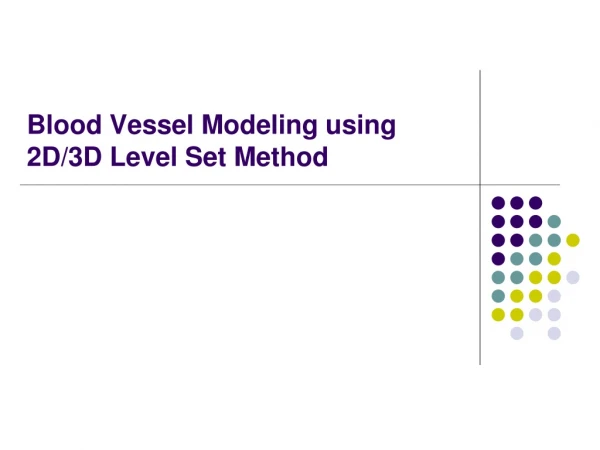 Blood Vessel Modeling using 2D/3D Level Set Method