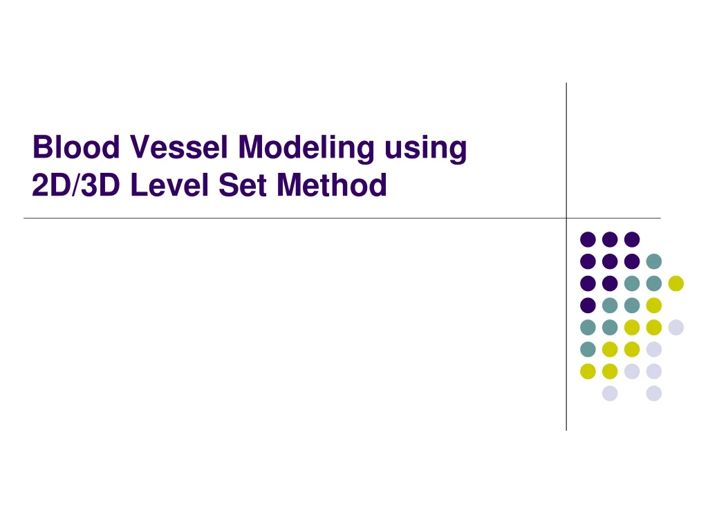 blood vessel modeling using 2d 3d level set method