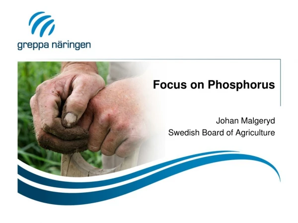 Focus on Phosphorus