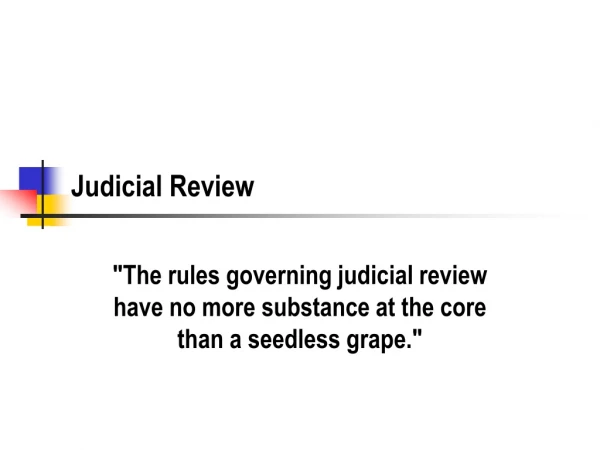 Judicial Review