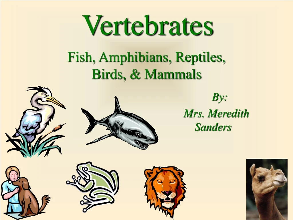 fish amphibians reptiles birds mammals