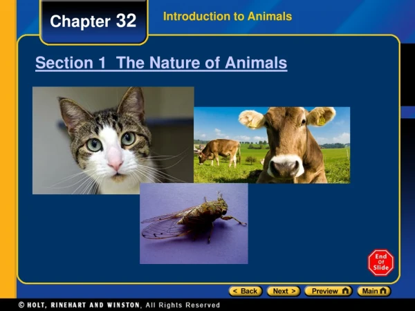 Section 1   The Nature of Animals