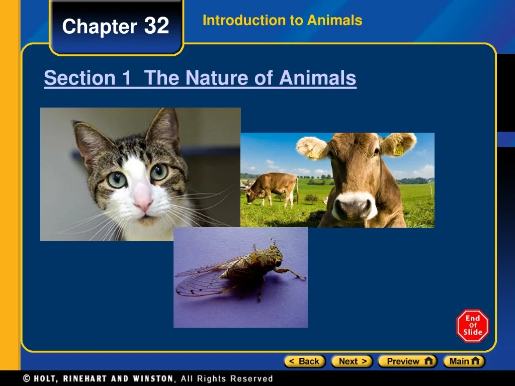 section 1 the nature of animals