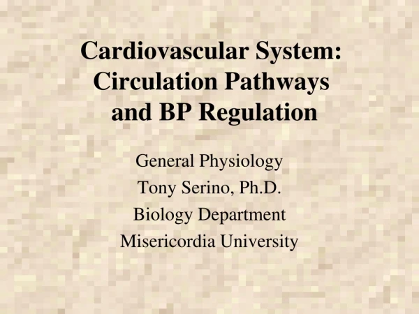 Cardiovascular System: Circulation Pathways  and BP Regulation