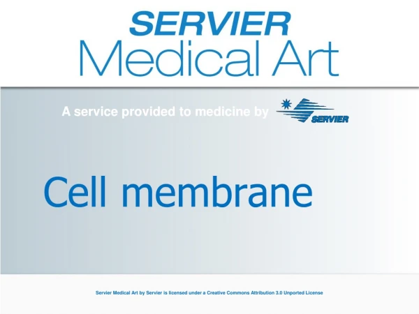 Cell membrane