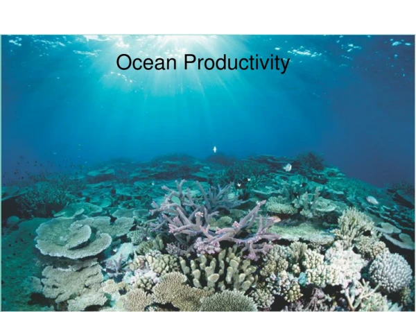 Ocean Productivity