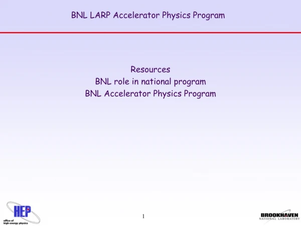 BNL LARP Accelerator Physics Program