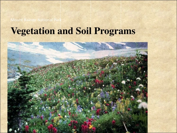 Vegetation and Soil Programs